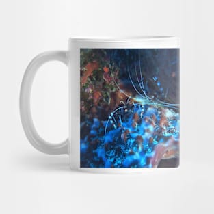 Banded Coral Shrimp at night Mug